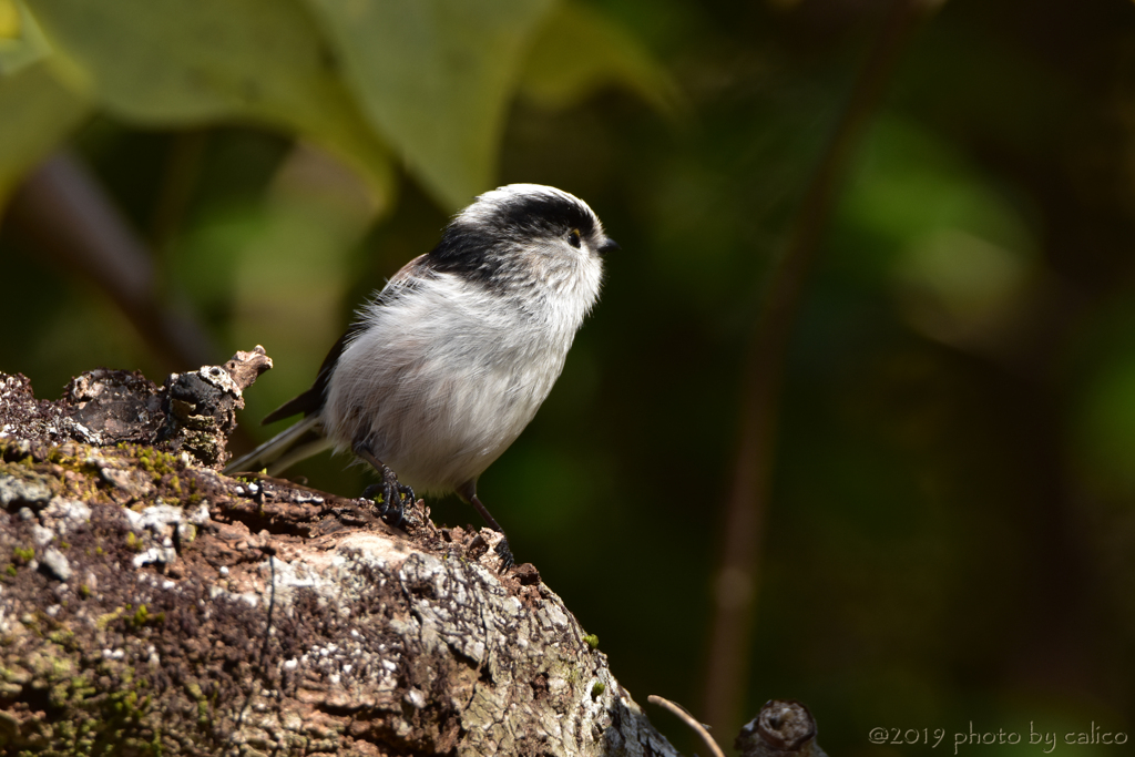 遠くを見つめて