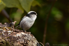 遠くを見つめて 遠くを見つめて