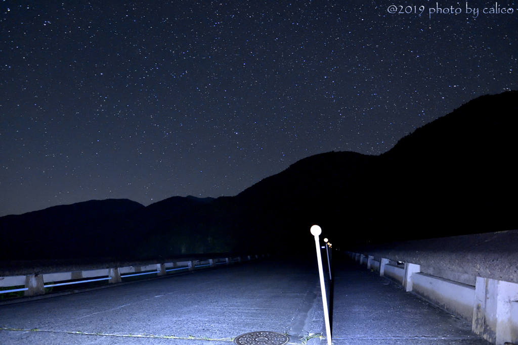 夏の夜の声