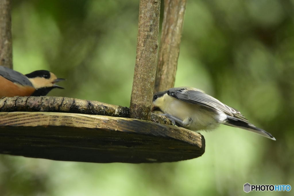 先輩と後輩  Ⅰ