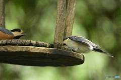 先輩と後輩  Ⅰ 先輩と後輩  Ⅰ