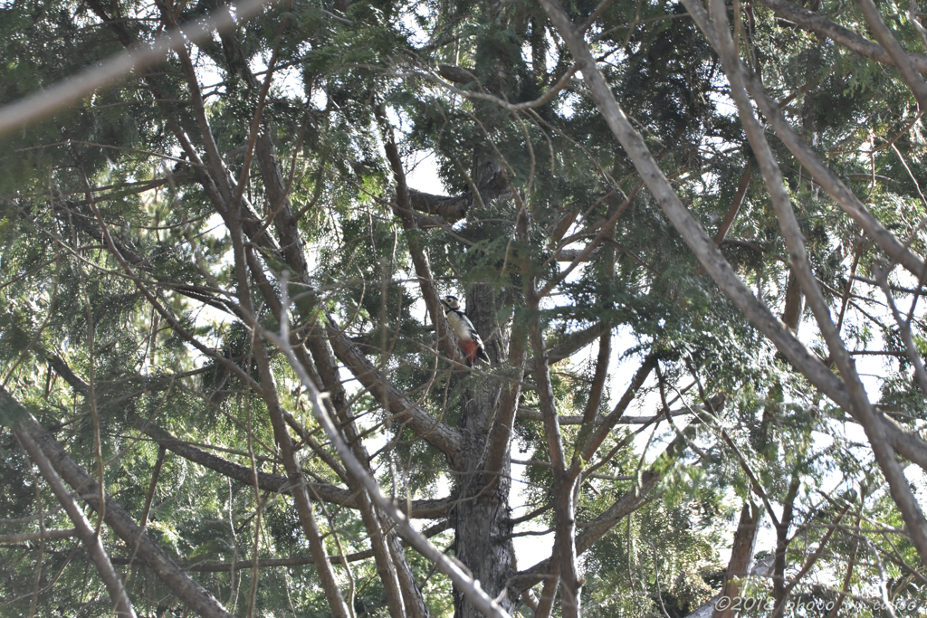 やっと会えたのに…