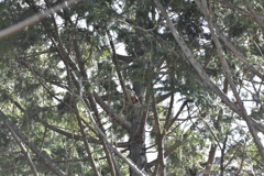 やっと会えたのに…