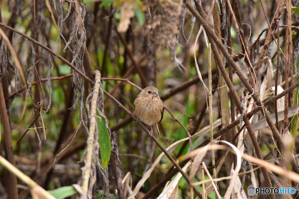 見つめ合う時間