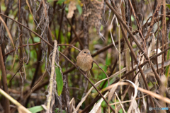 見つめ合う時間