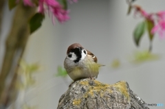 僕も撮ってよ〜