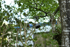 無事で良かった(´-｀*)