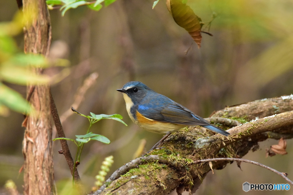 自慢の背中だよ
