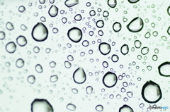 窓を叩く雨滴
