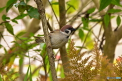 お邪魔しま～す♪ ②