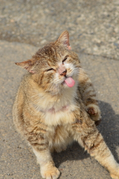 べ～