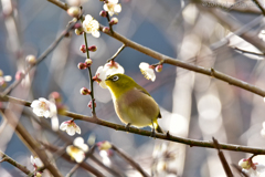 ちょうどいい高さ