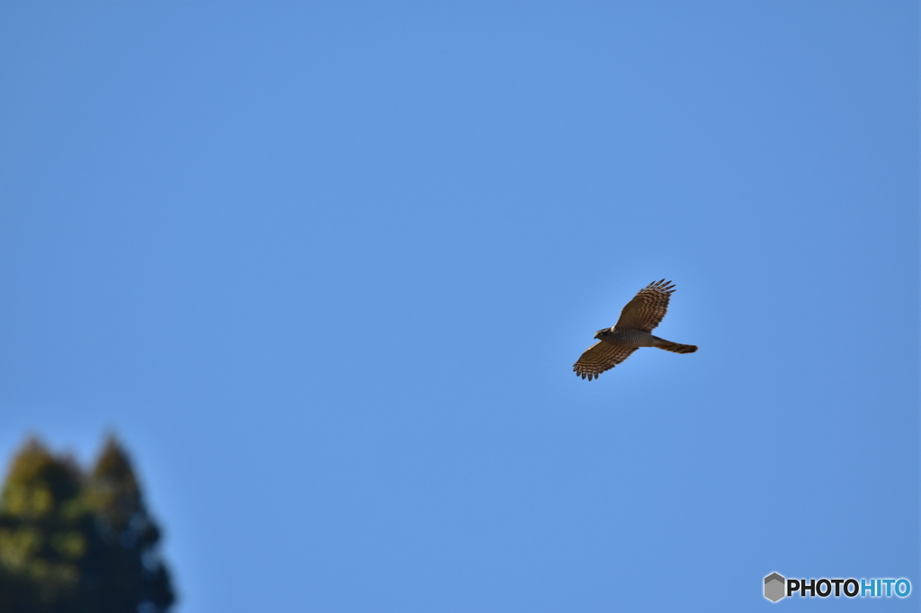 君は誰？？  Ⅲ