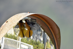 終わりなき戦い 終わりなき戦い