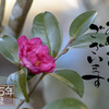 2023年 初春