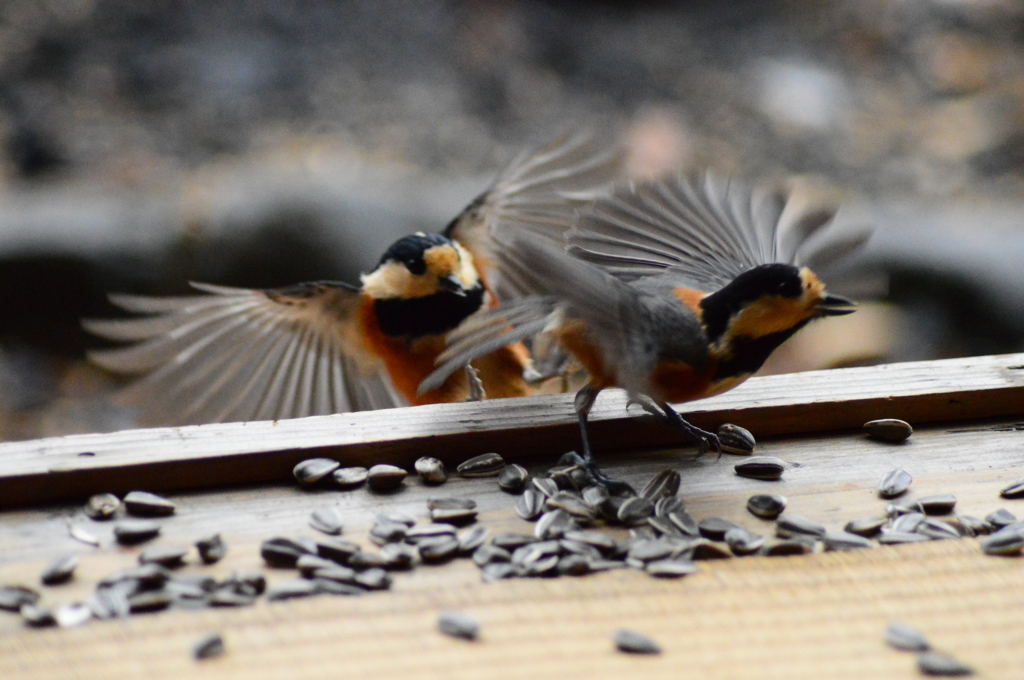 ちょっと待てよ～