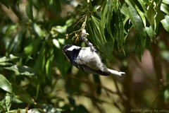 体力つけなきゃ