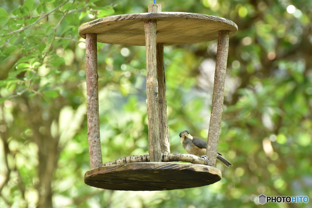 待っていたぞよ