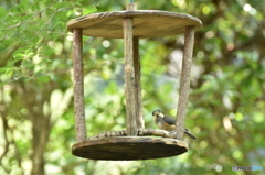 待っていたぞよ