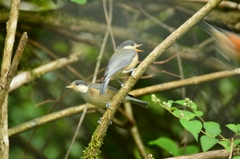 お母さんどこ～？