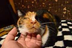 あ～そこそこ