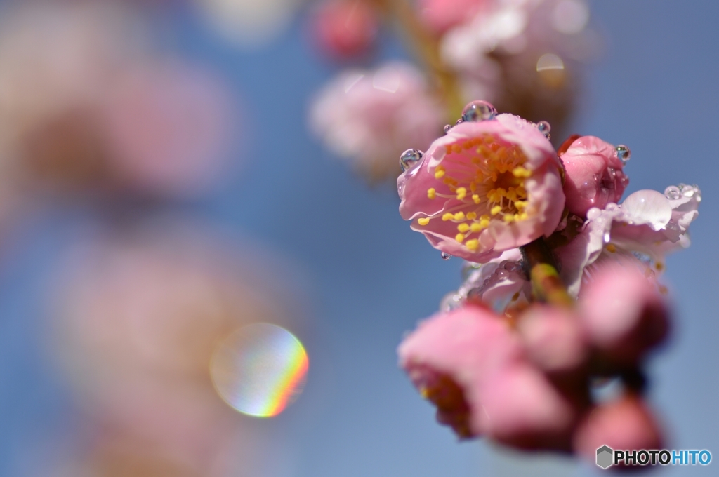 雨を味方に