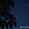 星の雫