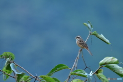 ここがお気に入りなの ここがお気に入りなの