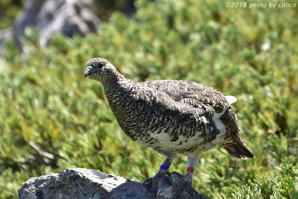 世話が焼けます