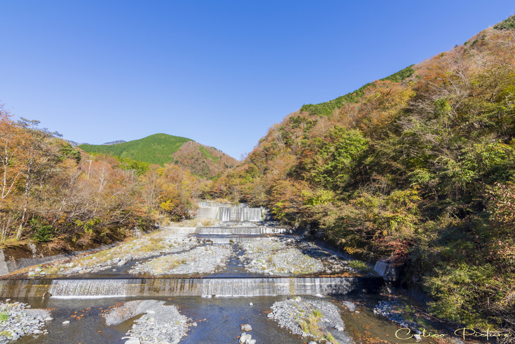 山粧う Ⅱ