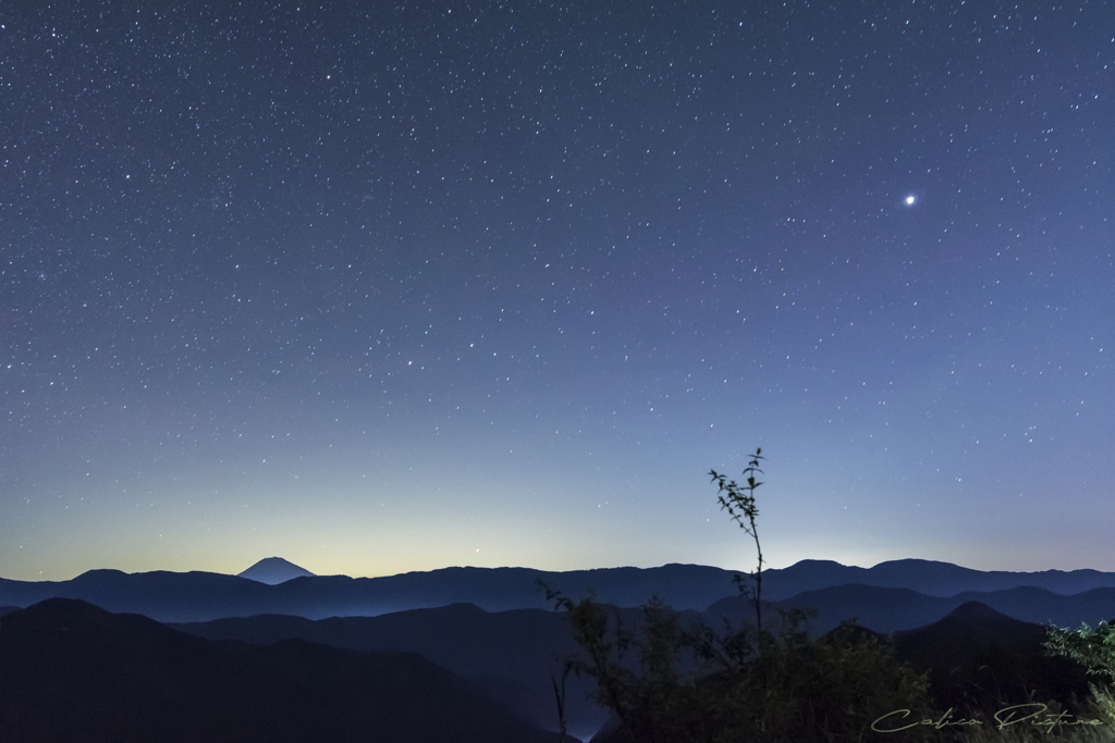 静寂な夜