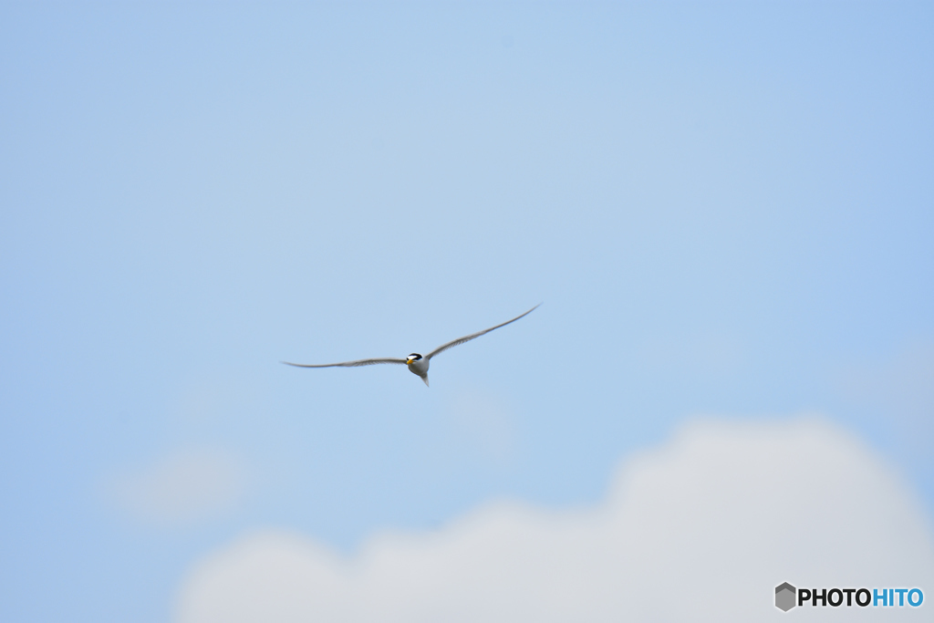 梅雨入り前の空から