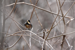 身だしなみは大切
