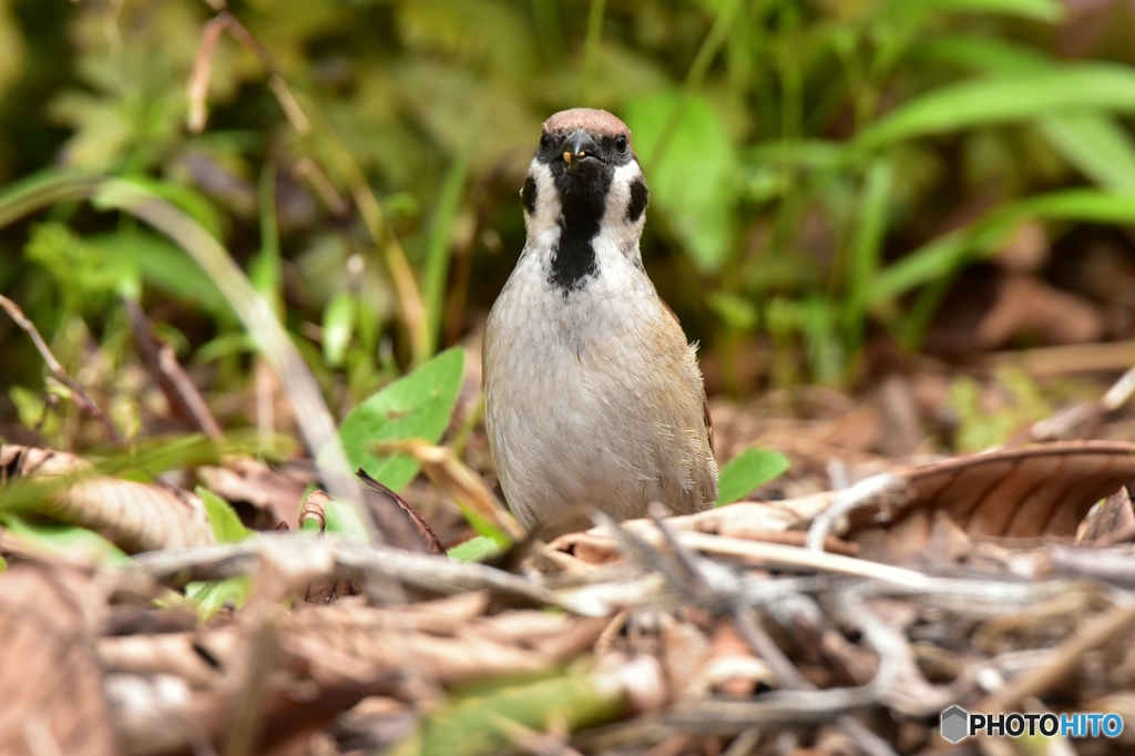 おそうじ おそうじ〜♪