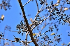 美味しくいただきます♪