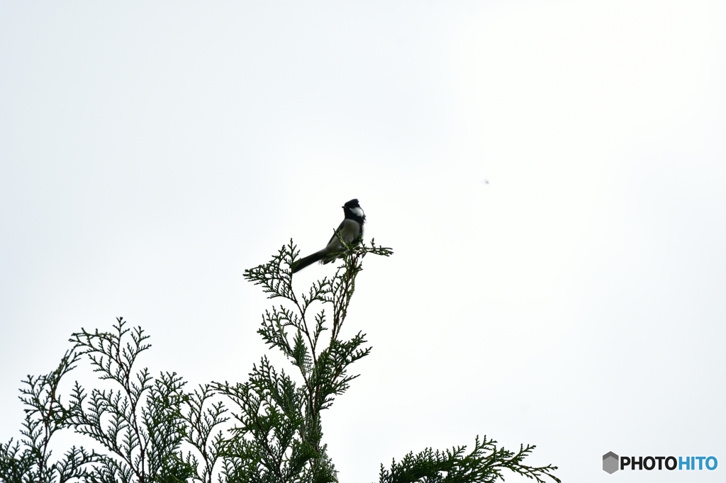 誰もいないの～？