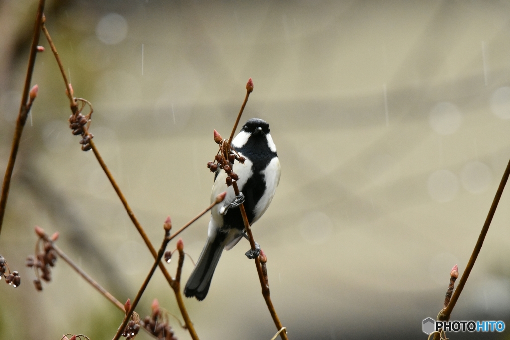 いつもと変わらない日常