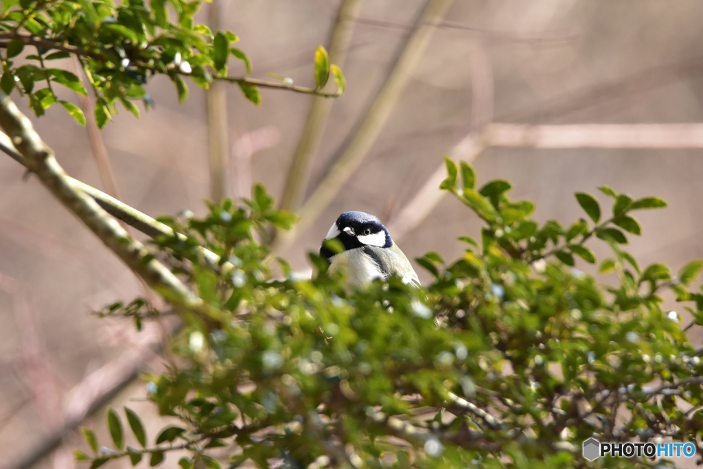 考え事してる？