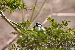 考え事してる? 考え事してる?