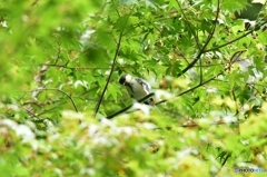 帰って来たよ! 帰って来たよ!