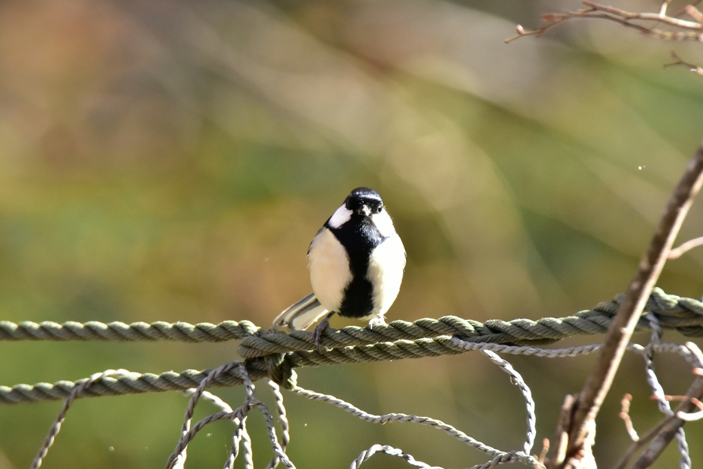 待ってたよ！ ③
