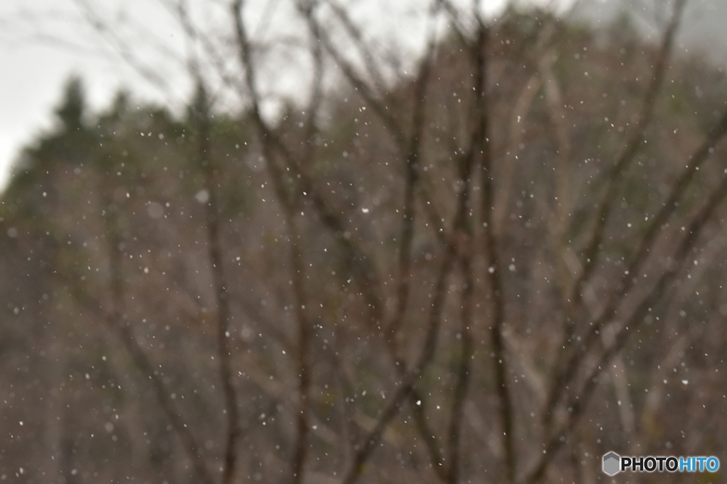 しんしんと降る雪