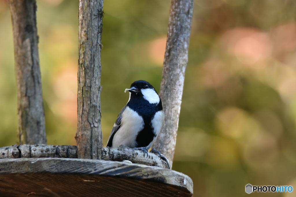 ここで食べるよ♪