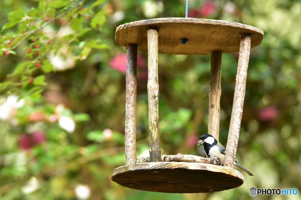 今日もいただいてます♪