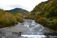 紅葉始まってきました♪ ①