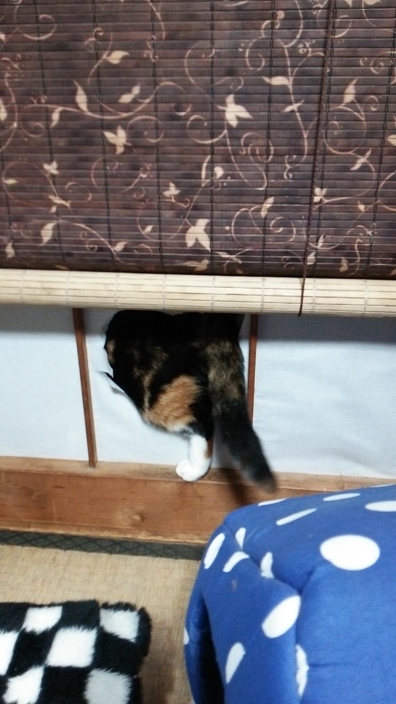 ダメじゃないか！