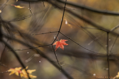 taken away by winter