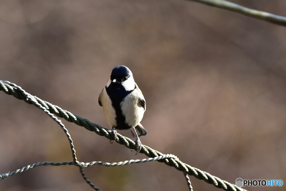 僕 かっこいいかな＾＾？