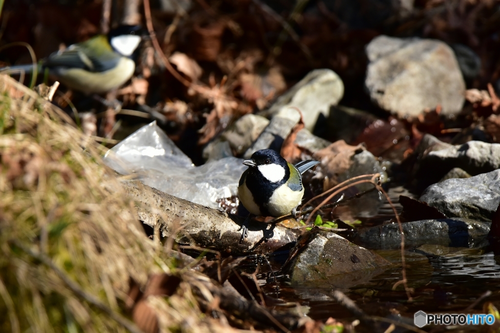 よく食べ よく飲む