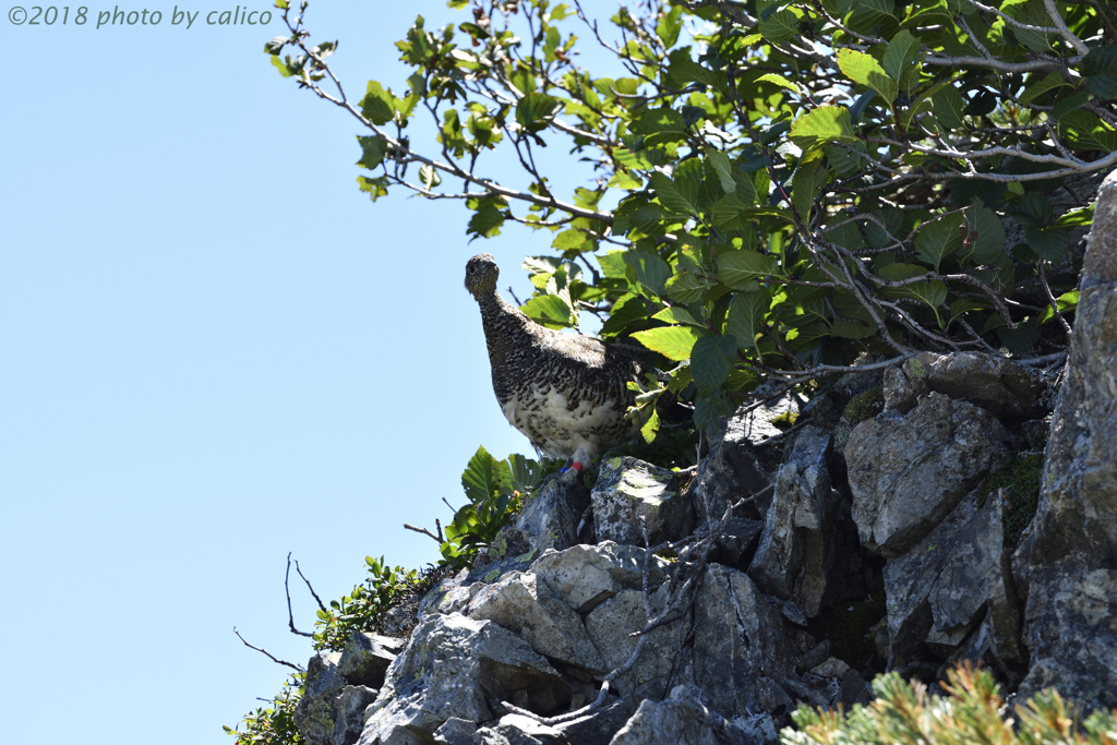 見張りを怠らない